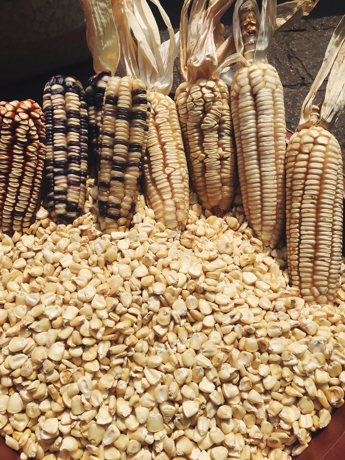 Tamal de Pollo y Miltomate