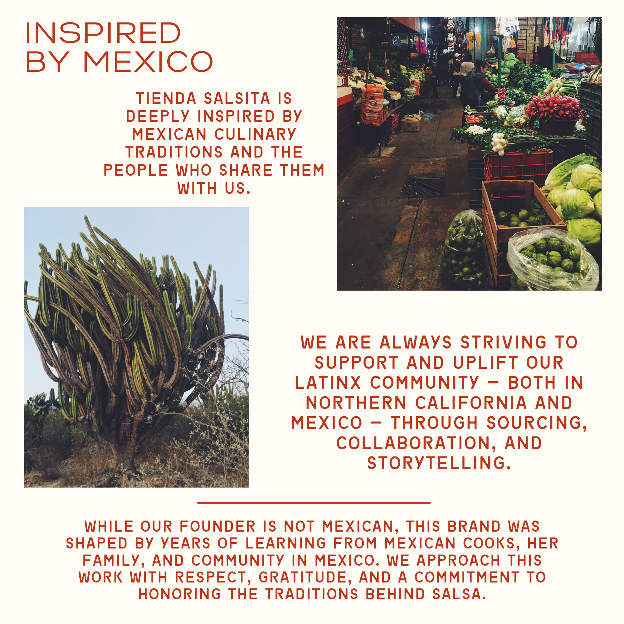 Promotional graphic for Tienda Salsita with text about Mexican culinary traditions and salsa.