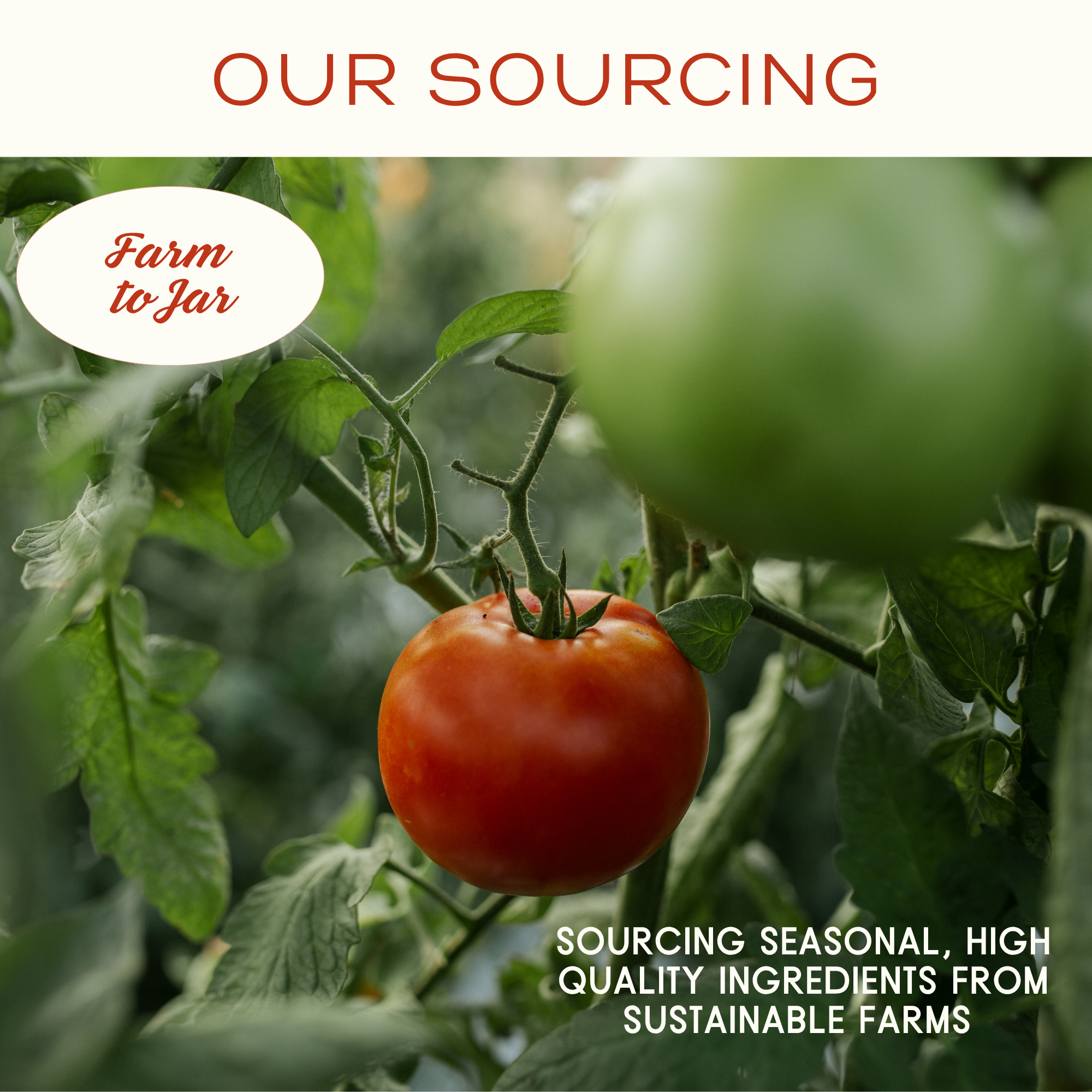 Tomato on a vine with 'Farm to Jar' text and sourcing information.
